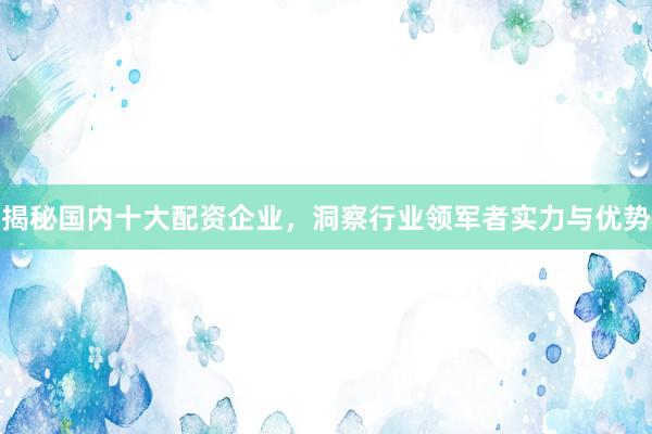 揭秘国内十大配资企业，洞察行业领军者实力与优势