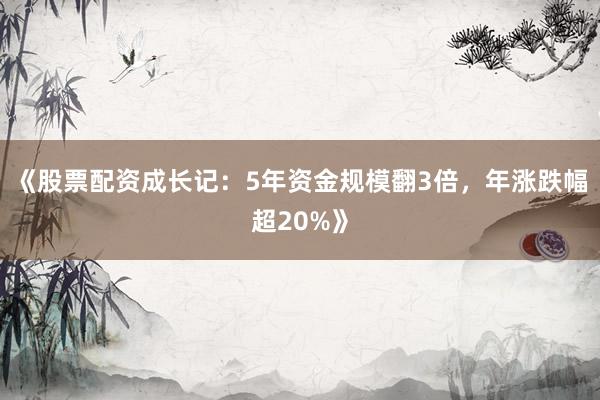 《股票配资成长记：5年资金规模翻3倍，年涨跌幅超20%》