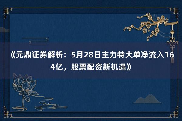 《元鼎证券解析：5月28日主力特大单净流入164亿，股票配资新机遇》
