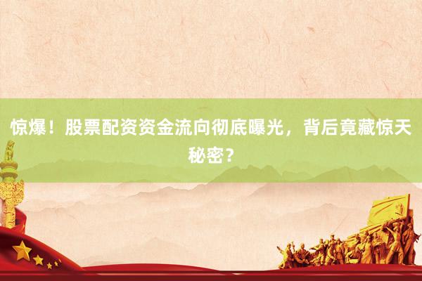 惊爆！股票配资资金流向彻底曝光，背后竟藏惊天秘密？