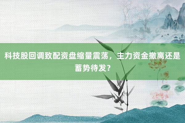 科技股回调致配资盘缩量震荡，主力资金撤离还是蓄势待发？