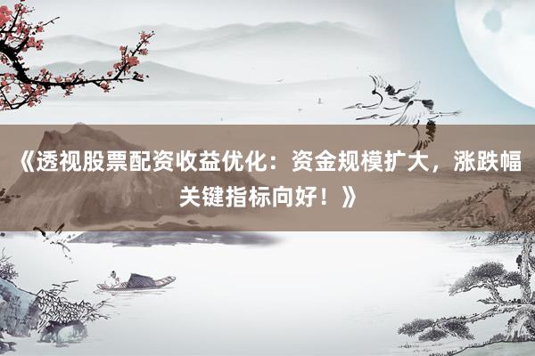 《透视股票配资收益优化：资金规模扩大，涨跌幅关键指标向好！》