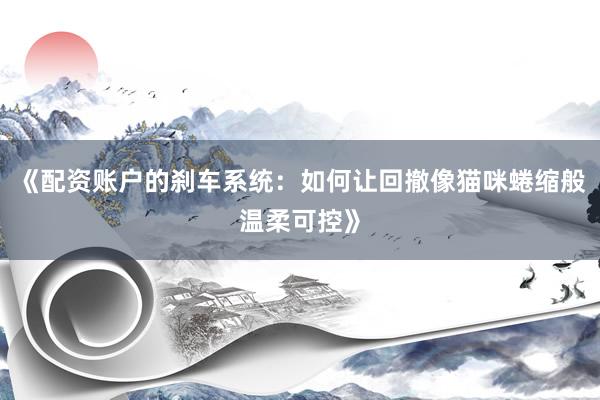 《配资账户的刹车系统：如何让回撤像猫咪蜷缩般温柔可控》