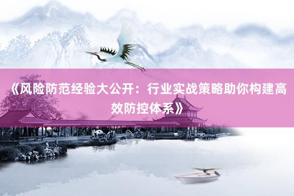 《风险防范经验大公开：行业实战策略助你构建高效防控体系》