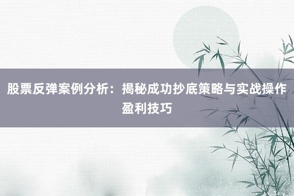 股票反弹案例分析：揭秘成功抄底策略与实战操作盈利技巧