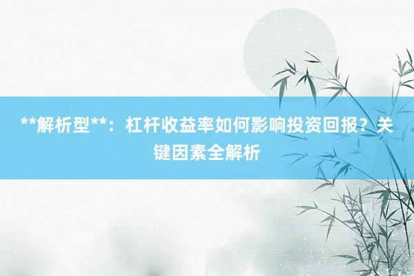 **解析型**：杠杆收益率如何影响投资回报？关键因素全解析
