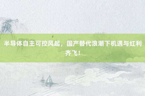 半导体自主可控风起，国产替代浪潮下机遇与红利齐飞！