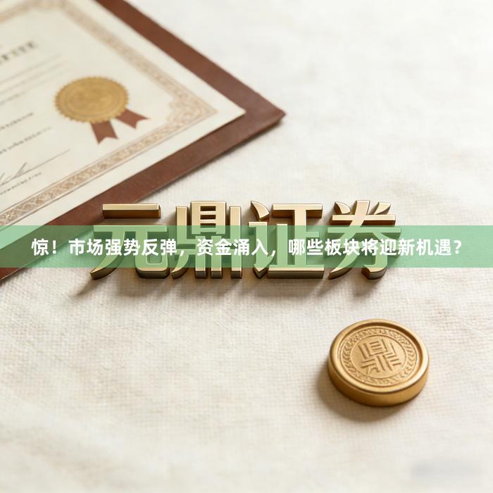 惊！市场强势反弹，资金涌入，哪些板块将迎新机遇？