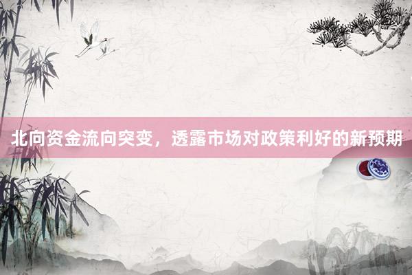 北向资金流向突变，透露市场对政策利好的新预期