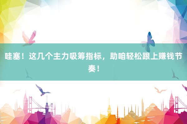 哇塞！这几个主力吸筹指标，助咱轻松跟上赚钱节奏！